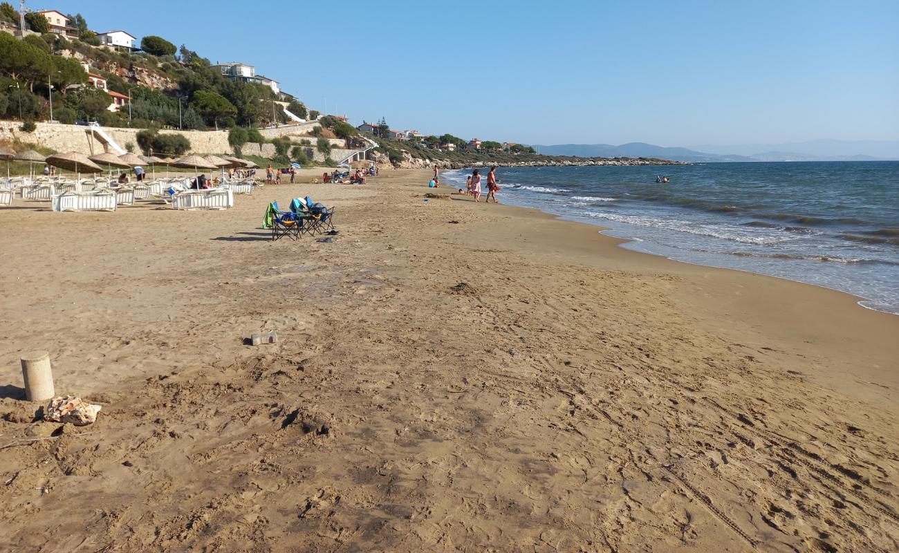 Yoncakoy beach'in fotoğrafı kahverengi kum yüzey ile