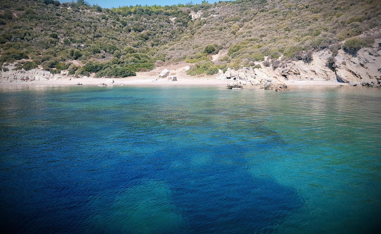 Nation Cd. beach'in fotoğrafı bej kum ve çakıl yüzey ile
