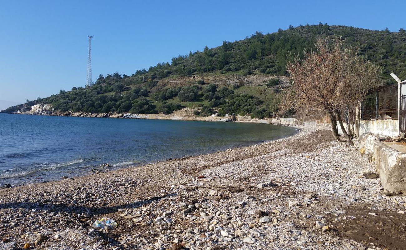 Ahmetbeyli Plajı II'in fotoğrafı bej çakıl yüzey ile