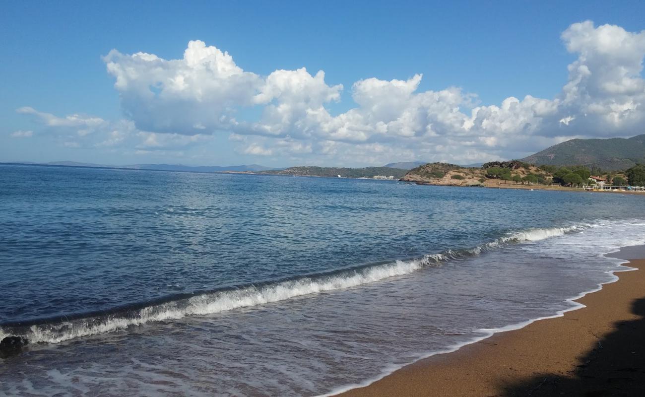 Sukuralti beach II'in fotoğrafı kahverengi kum yüzey ile