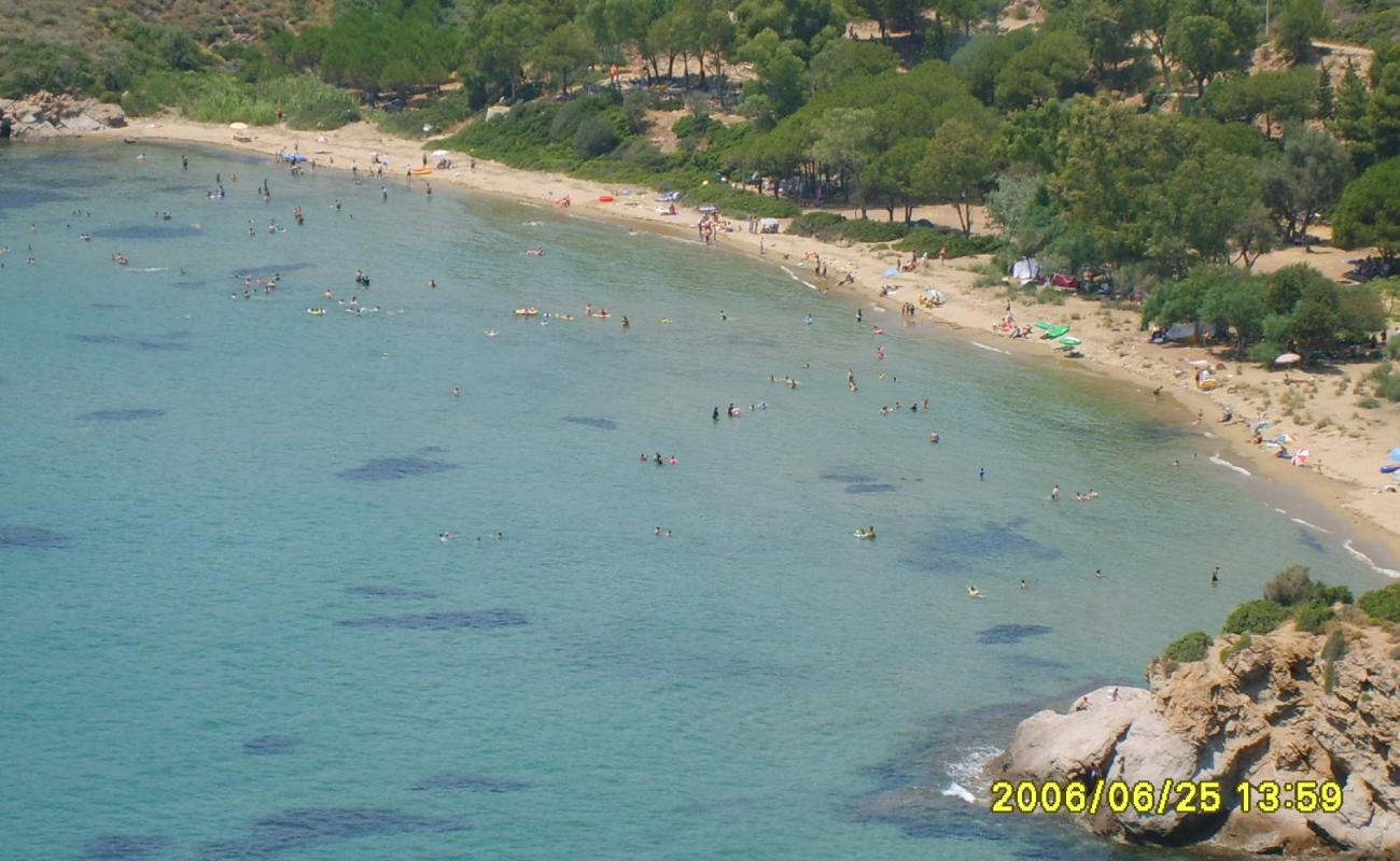 Sahil Yolu Cd. beach'in fotoğrafı kahverengi kum yüzey ile
