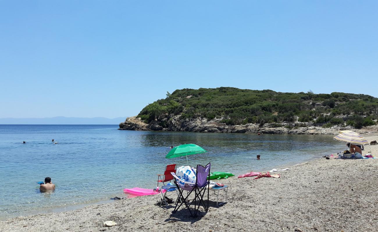 Ali Yasin plajı'in fotoğrafı küçük bej çakıl yüzey ile