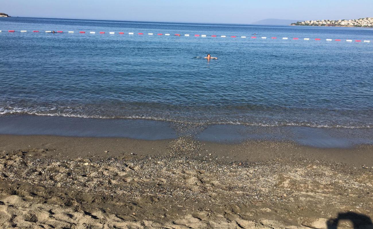Akarca Plajı'in fotoğrafı gri kum yüzey ile