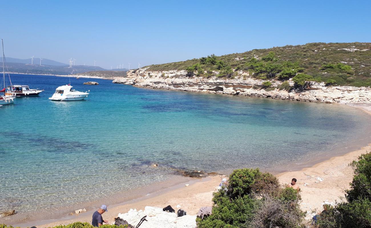 Çamcaz Plajı'in fotoğrafı hafif ince çakıl taş yüzey ile