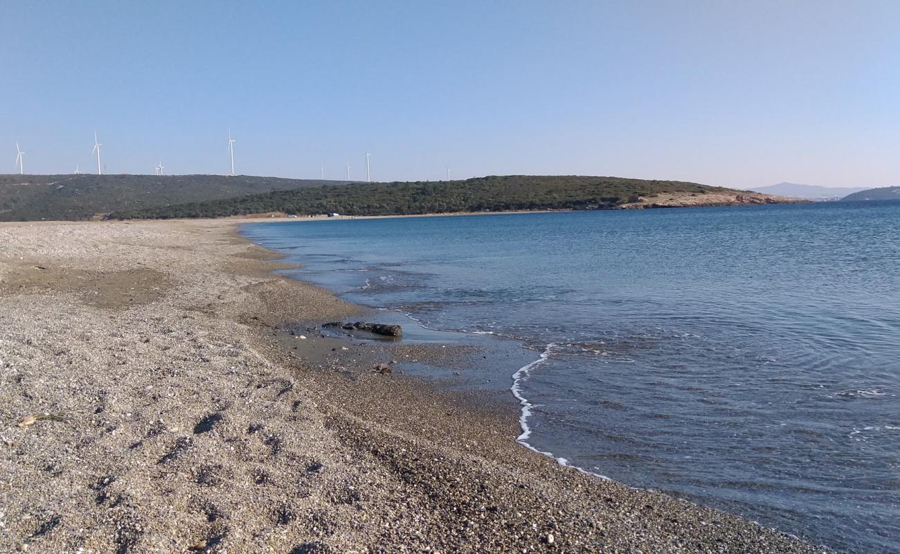 Azmak Plajı'in fotoğrafı küçük bej çakıl yüzey ile