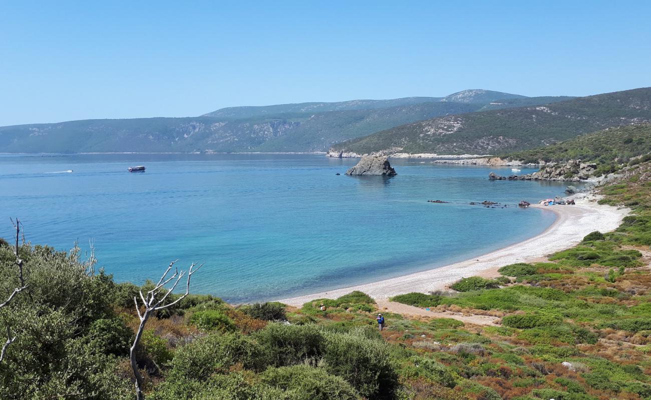 Demircili Plajı II'in fotoğrafı gri çakıl taşı yüzey ile