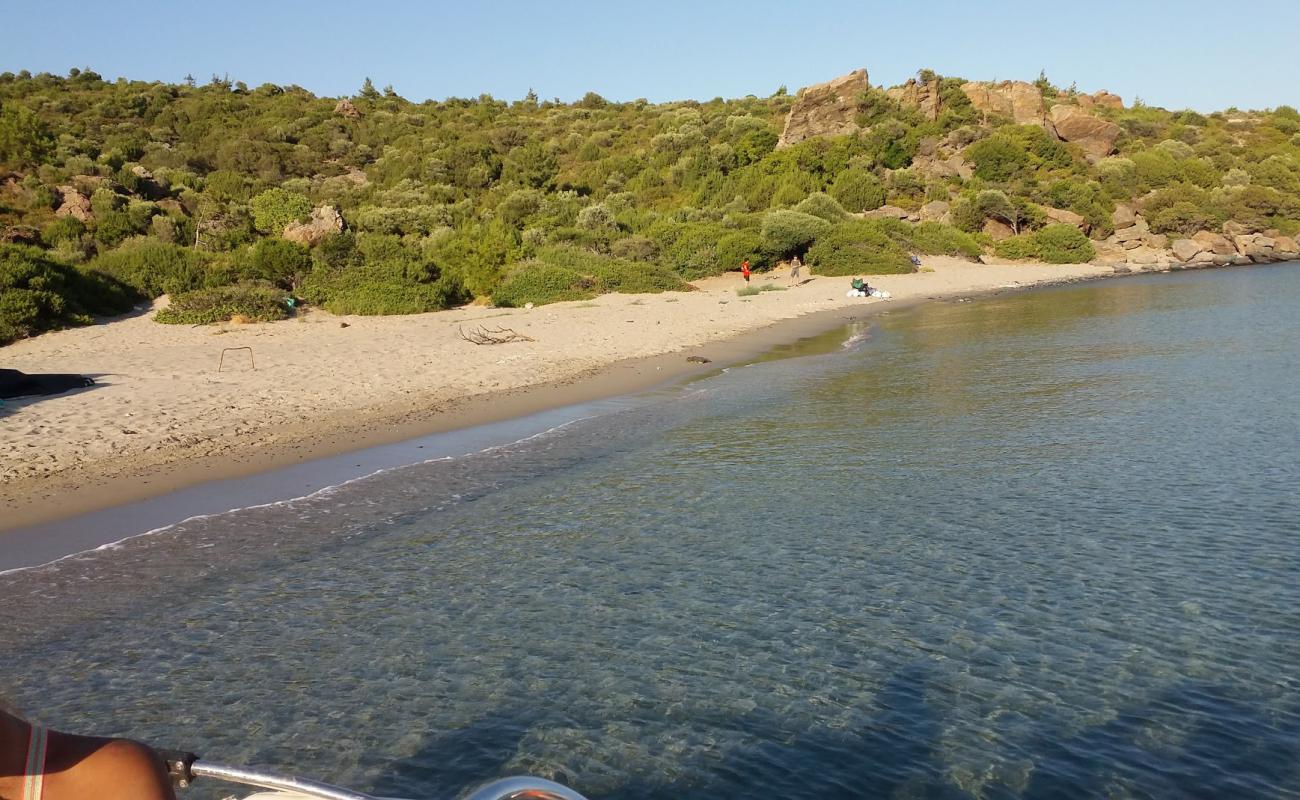 Yağcılar Plajı'in fotoğrafı gri kum yüzey ile