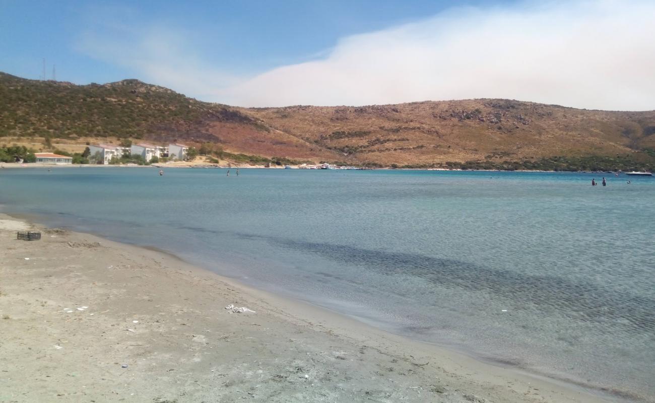 Altay's Beach'in fotoğrafı kahverengi kum yüzey ile
