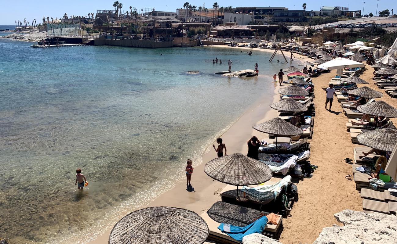 Madeo Beach'in fotoğrafı parlak ince kum yüzey ile