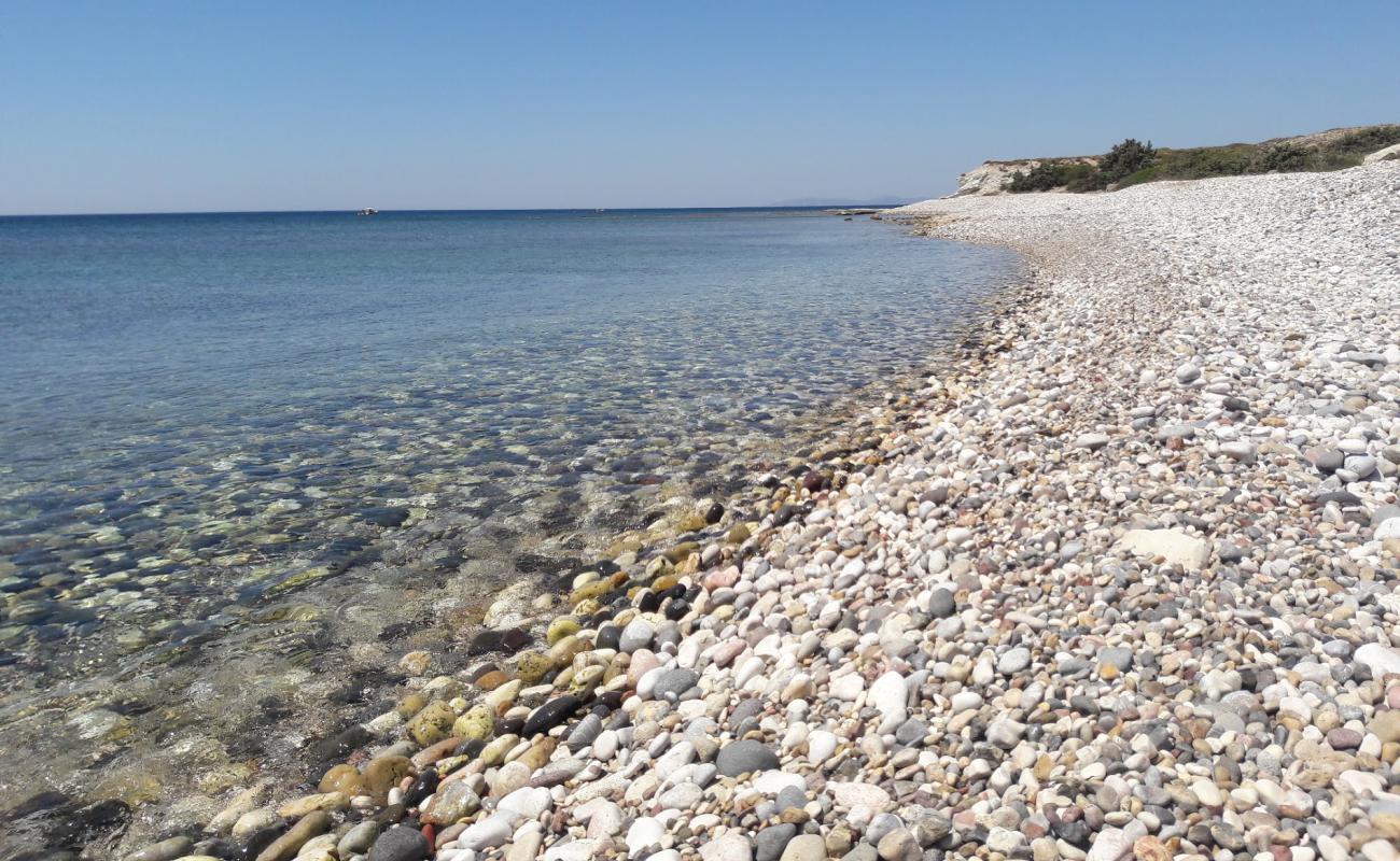 Güvercinlik Koyu II'in fotoğrafı bej çakıl yüzey ile