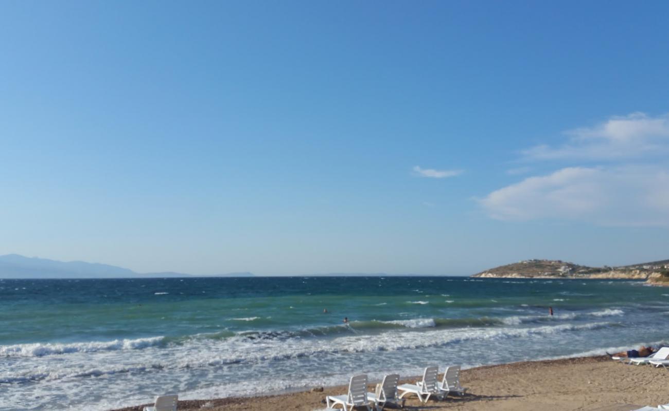 Ciftlikkoy beach'in fotoğrafı gri kum ve çakıllar yüzey ile