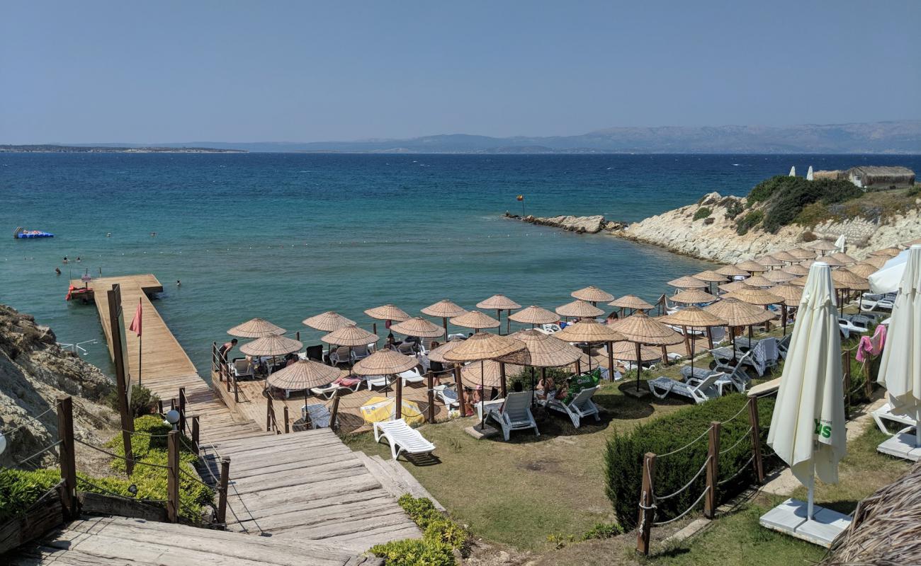 Dilaila Beach'in fotoğrafı beton kaplı yüzey yüzey ile