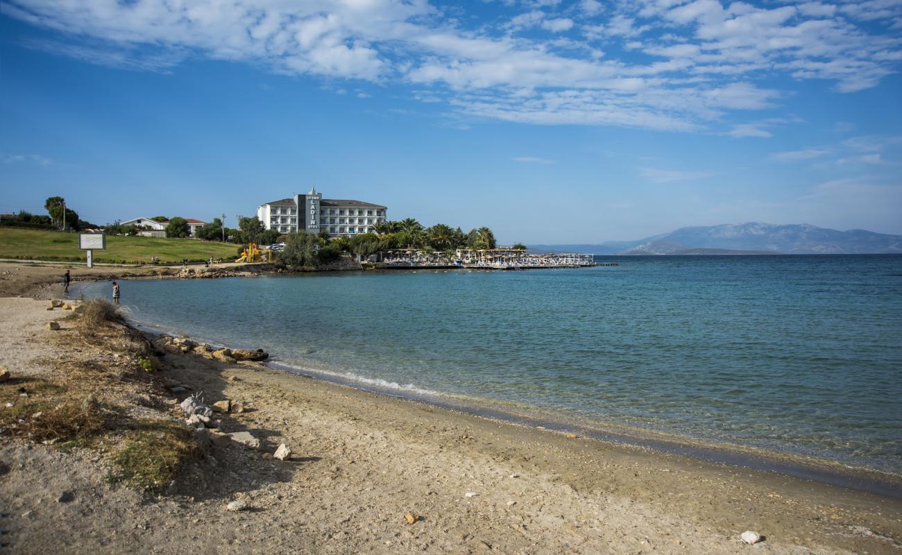 Palmiye beach'in fotoğrafı açık bej kum yüzey ile