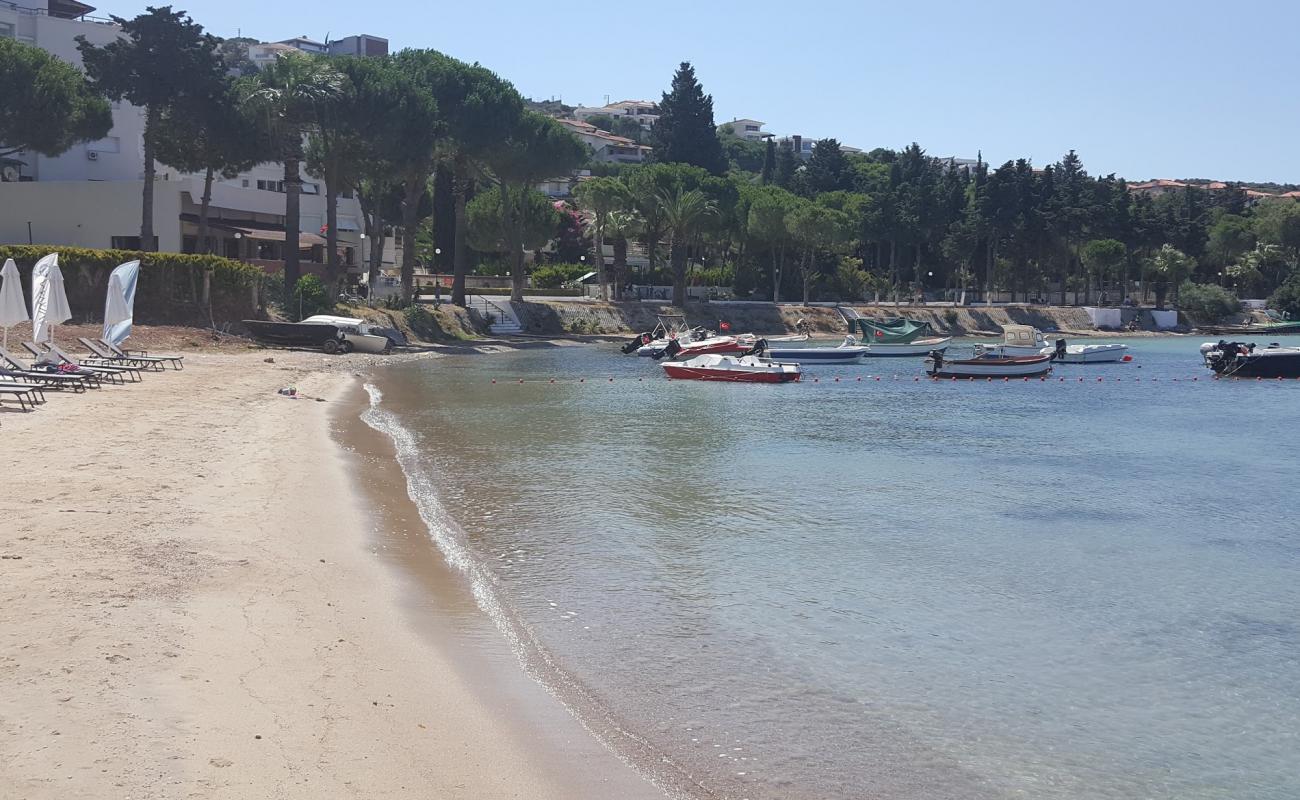 Breeze Beach Club'in fotoğrafı siyah kum ve çakıllar yüzey ile