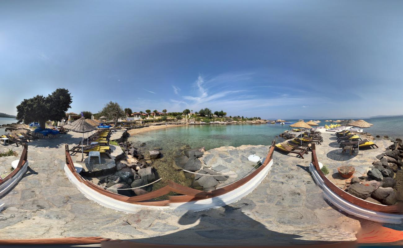 Çeşme Dodo Beach'in fotoğrafı açık bej kum yüzey ile