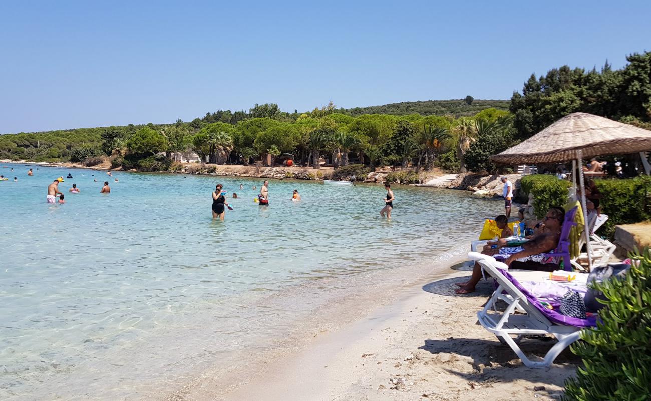 Quente Plaj Kulübü'in fotoğrafı parlak ince kum yüzey ile