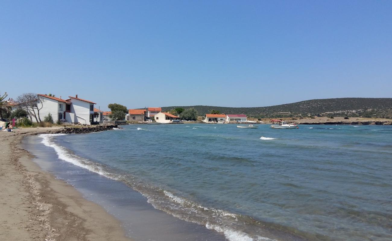 Sifne plajı'in fotoğrafı kahverengi kum yüzey ile