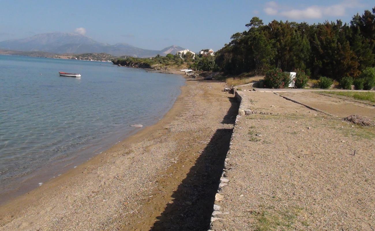 Istur beach'in fotoğrafı kahverengi kum yüzey ile