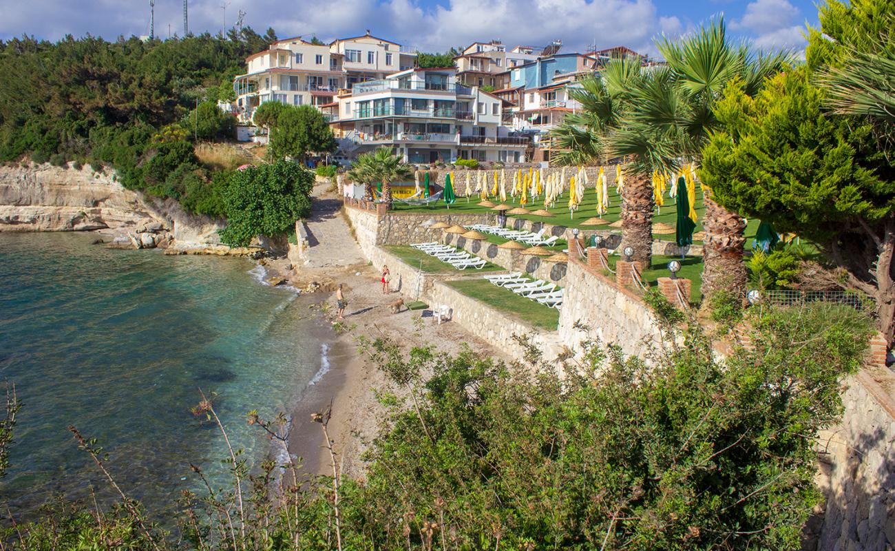 Aly Beach Club'in fotoğrafı siyah kum ve çakıl yüzey ile