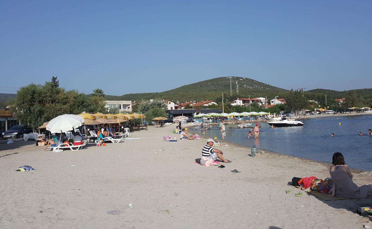 Ozbek Akkum Plaji'in fotoğrafı kahverengi kum yüzey ile
