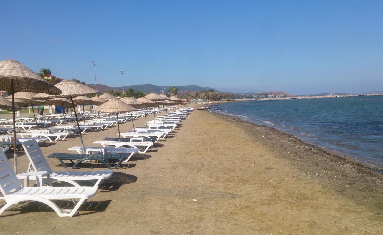 Kum Plaj'in fotoğrafı kahverengi kum yüzey ile