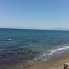 Zeytinalanı Plajı