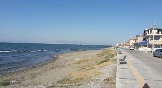 Zeytinalanı Beach II