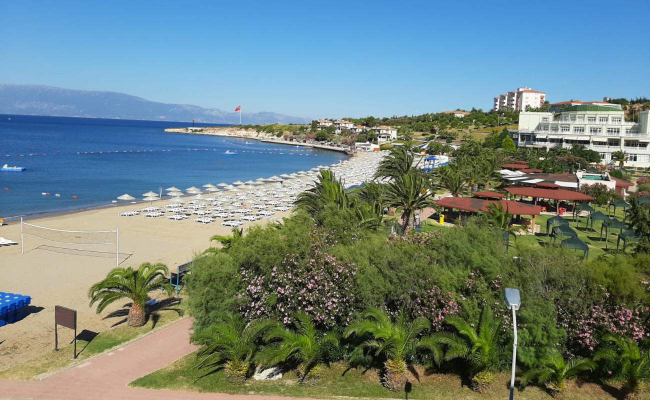 Ataturk Beach'in fotoğrafı siyah kum ve çakıllar yüzey ile