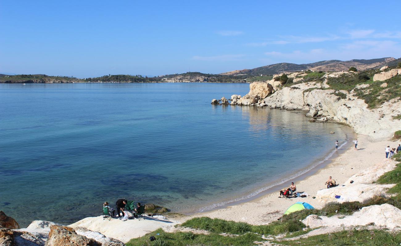 Canak Koyu'in fotoğrafı kahverengi kum yüzey ile