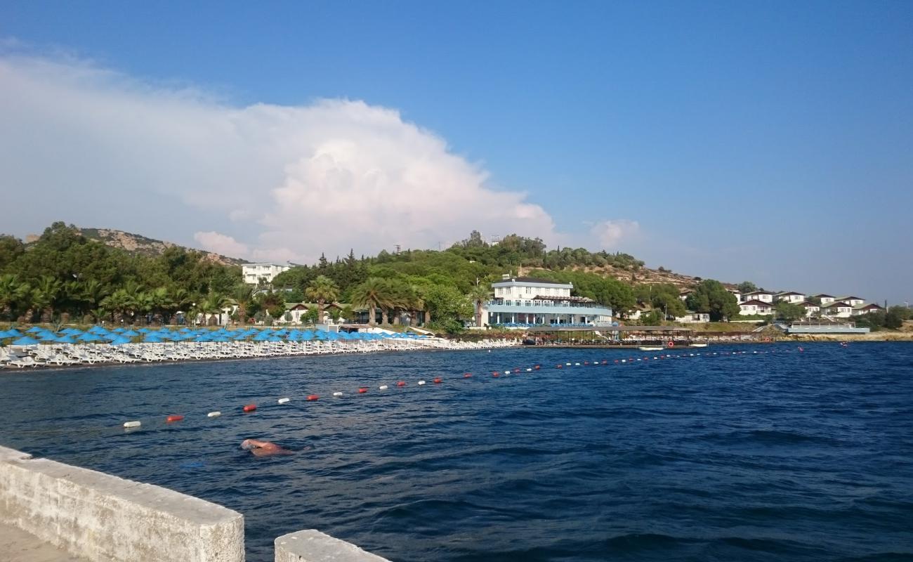 Foca beach'in fotoğrafı kahverengi kum yüzey ile