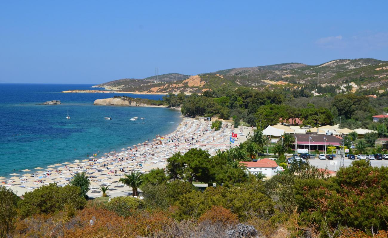 Phokaia Club'in fotoğrafı kahverengi kum yüzey ile