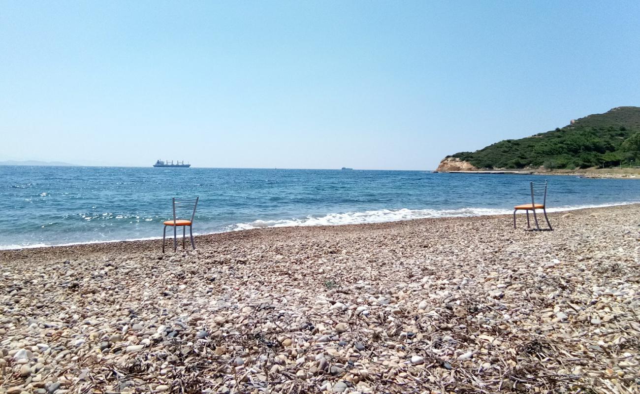 Cayagzi Camp beach'in fotoğrafı hafif ince çakıl taş yüzey ile