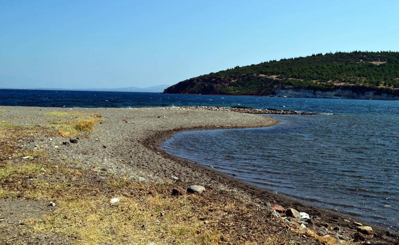 Sebatepolis beach'in fotoğrafı taşlar yüzey ile