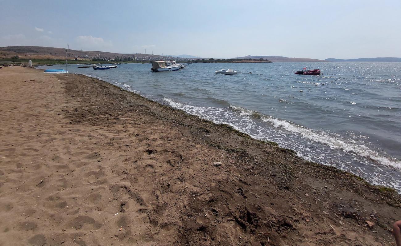 Shakran beach II'in fotoğrafı kahverengi kum yüzey ile