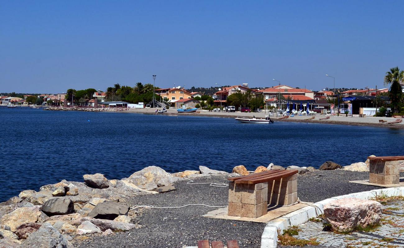 Shakran beach'in fotoğrafı kahverengi kum yüzey ile