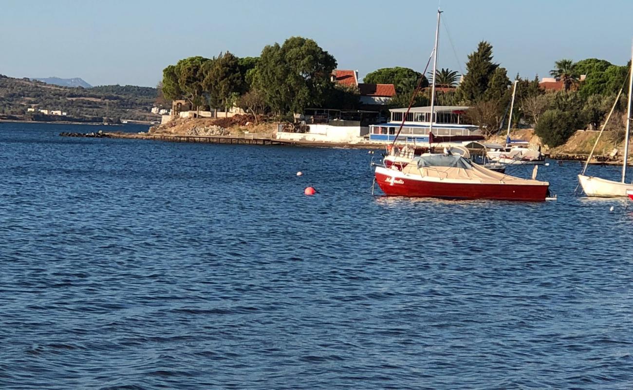 Pandora Garden'in fotoğrafı kahverengi kum yüzey ile
