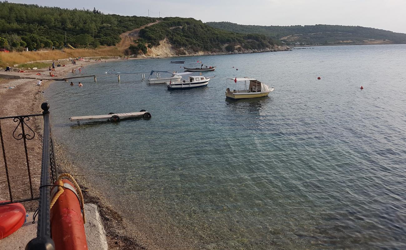 Flamingo beach'in fotoğrafı açık bej kum yüzey ile