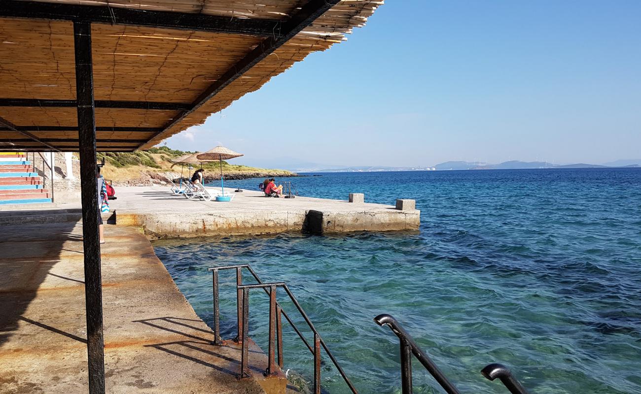 Aquarium beach'in fotoğrafı beton kaplı yüzey yüzey ile
