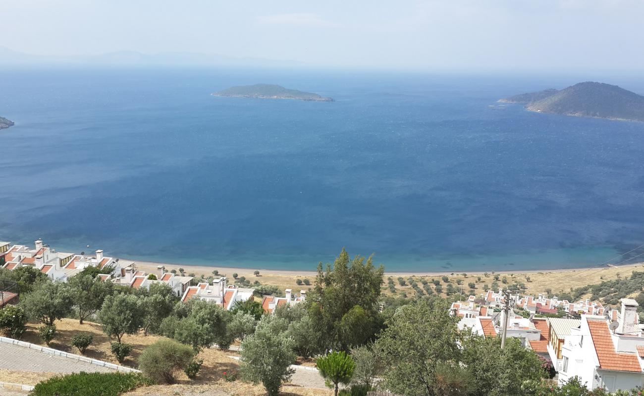 Mavikum beach'in fotoğrafı siyah kum ve çakıllar yüzey ile