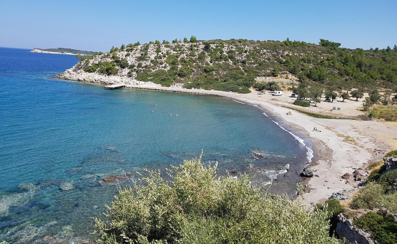 Hayıtlı Bay Plajı'in fotoğrafı açık bej kum yüzey ile