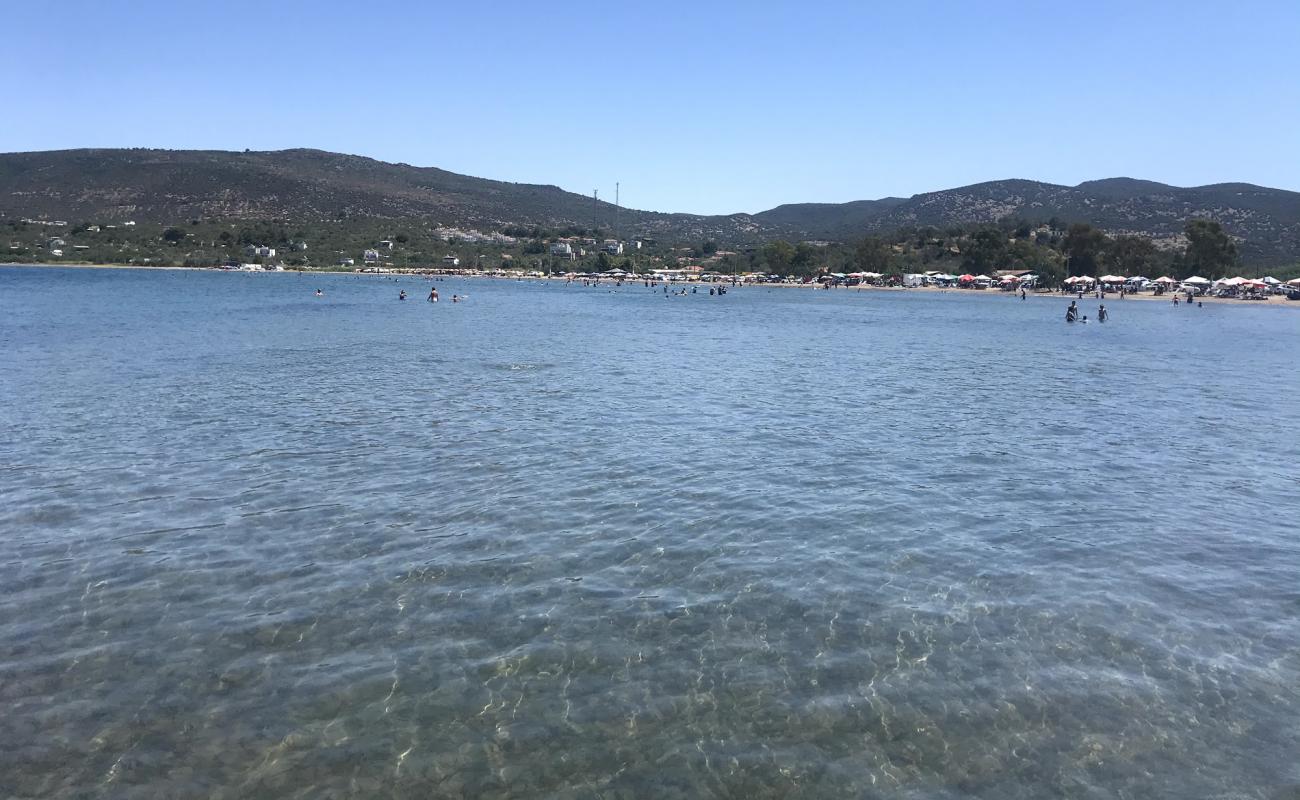 Bademli Halk Plaji'in fotoğrafı açık bej kum yüzey ile