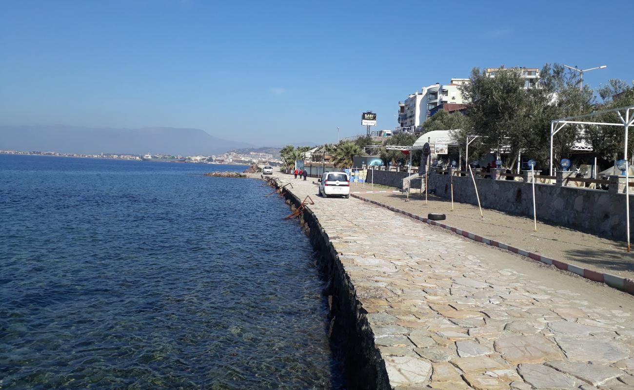 Palmiye beach'in fotoğrafı beton kaplı yüzey yüzey ile