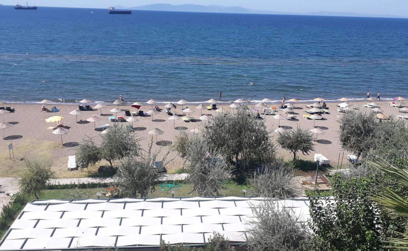 Dikili Plajı'in fotoğrafı kahverengi kum yüzey ile