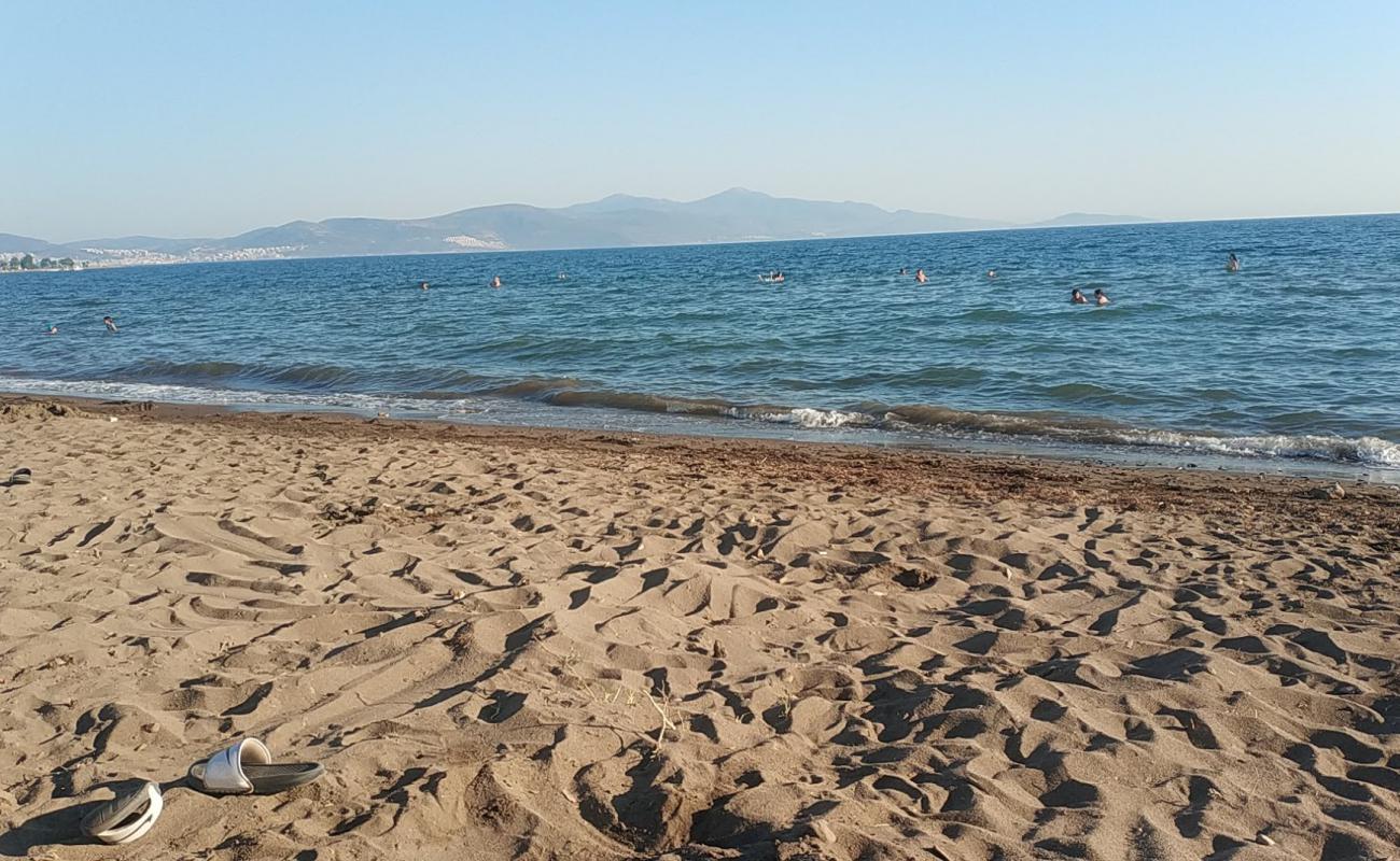 Tek Çınar Plajı'in fotoğrafı parlak kum yüzey ile