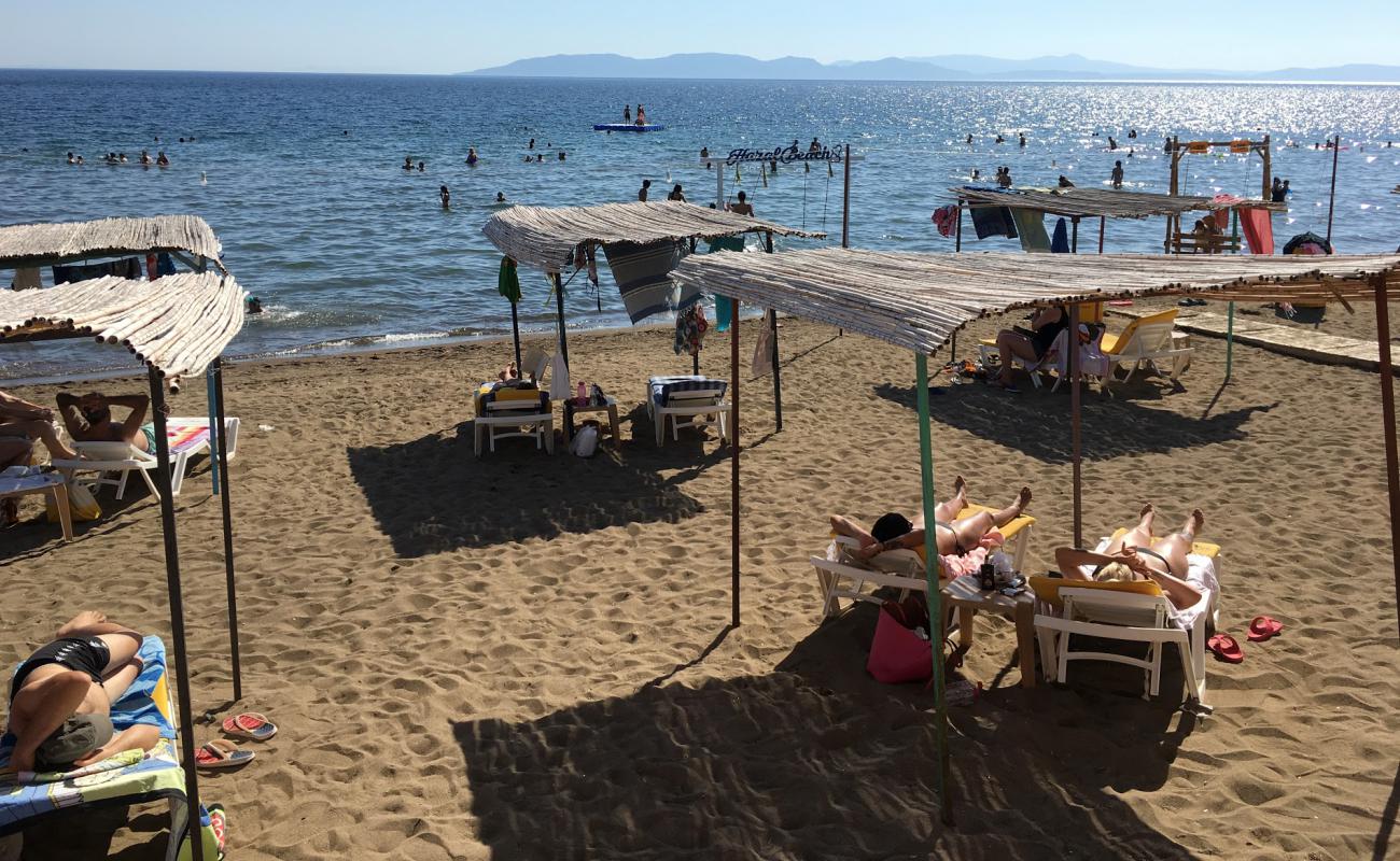 Cumhuriyet beach'in fotoğrafı kahverengi kum yüzey ile