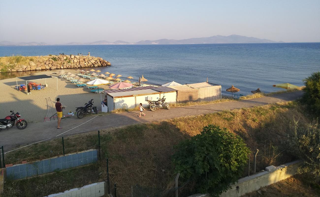 Belmont cafe beach'in fotoğrafı açık bej kum yüzey ile