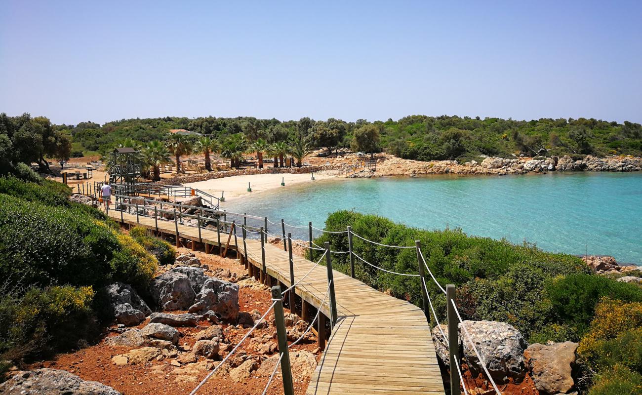 Cleopatra beach'in fotoğrafı parlak kum yüzey ile