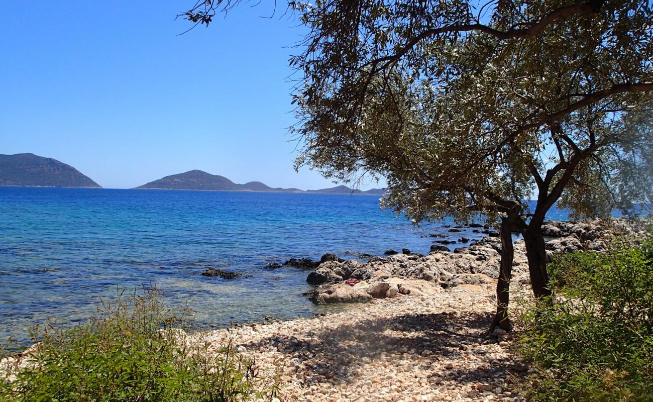 Grape Pier'in fotoğrafı kahverengi çakıl yüzey ile