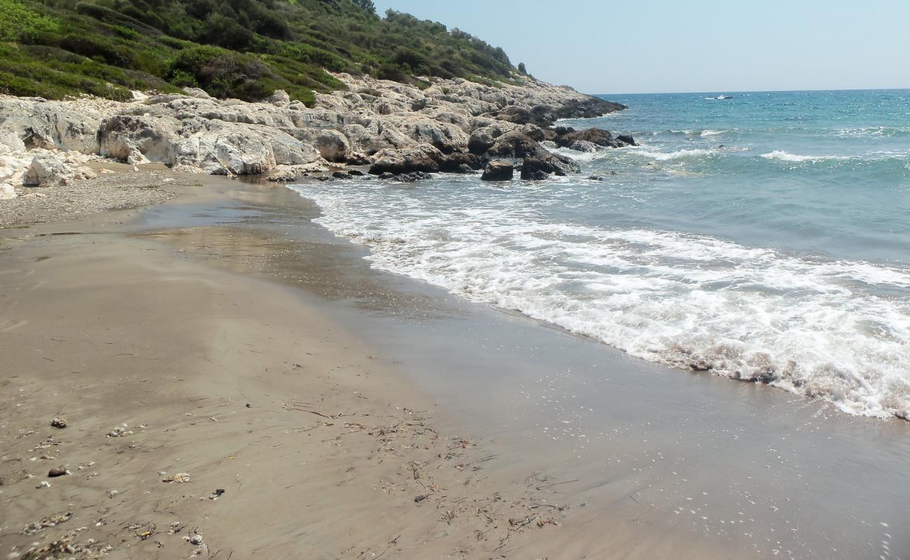 Leech Beach II'in fotoğrafı kahverengi kum yüzey ile