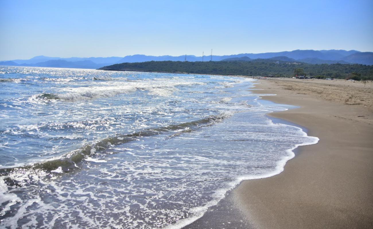 Leech Beach'in fotoğrafı gri kum yüzey ile